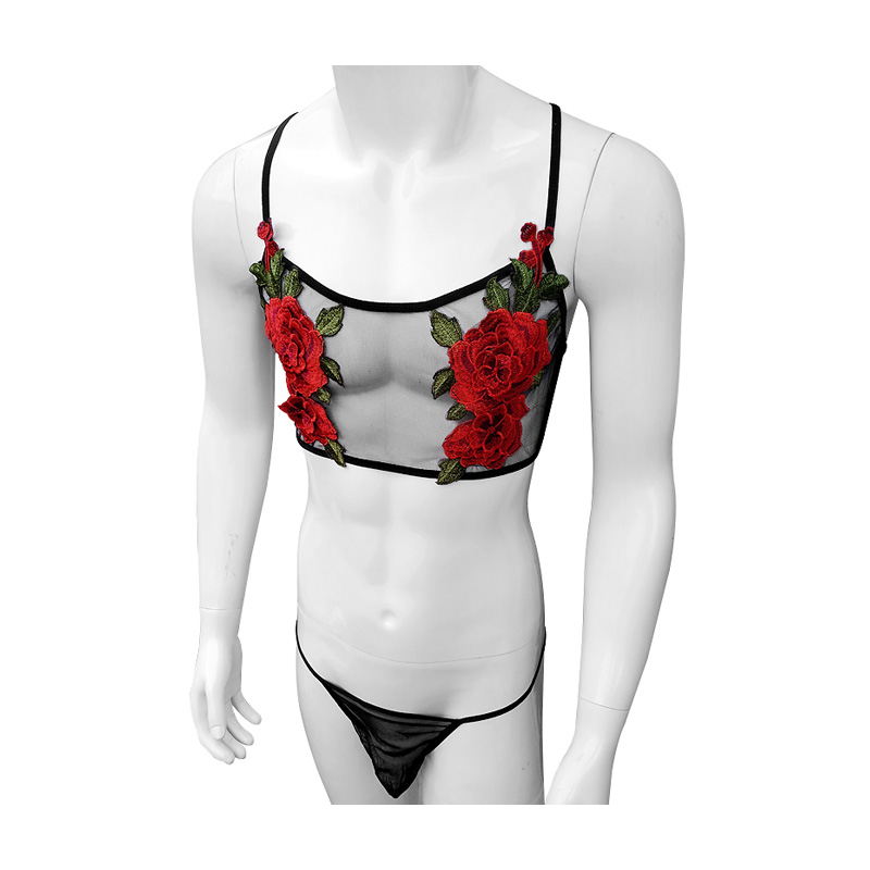 Sheer Mesh Bra - Ensemble de Lingerie Sexy brodé pour